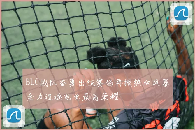 BLG战队奋勇出征赛场再掀热血风暴全力追逐电竞最高荣耀