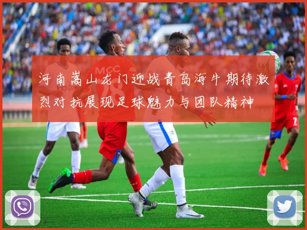 河南嵩山龙门迎战青岛海牛期待激烈对抗展现足球魅力与团队精神