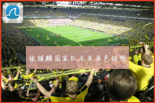 张镇麟国家队未来角色猜想