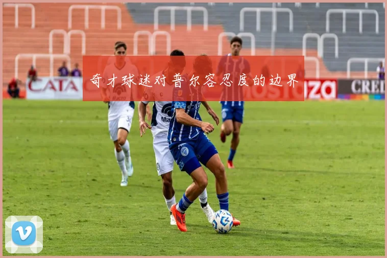 奇才球迷对普尔容忍度的边界